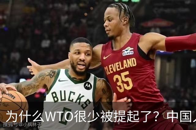 为什么WTO很少被提起了？中国入世谈判花了15年，如今几乎被架空