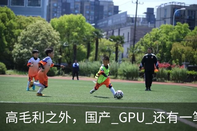 高毛利之外，国产 GPU 还有一笔 “软件账”